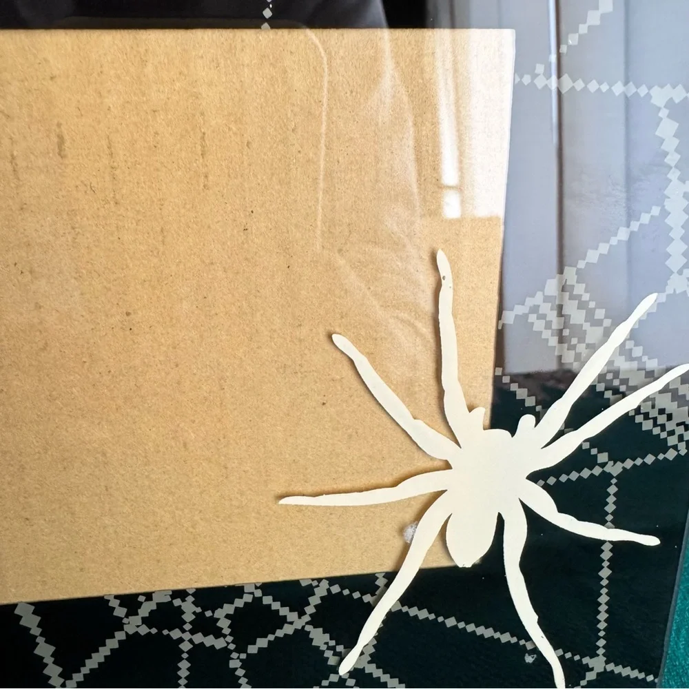 Halloween spiderweb black and ivory picture frame